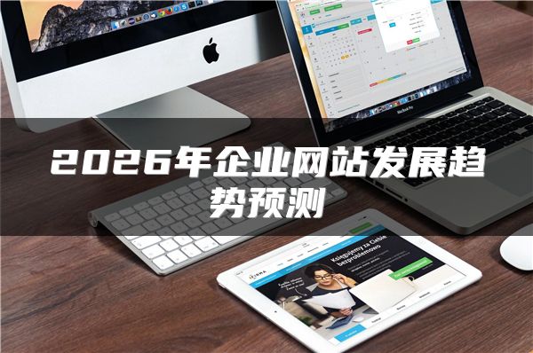 2026年企業(yè)網(wǎng)站發(fā)展趨勢(shì)預(yù)測(cè)